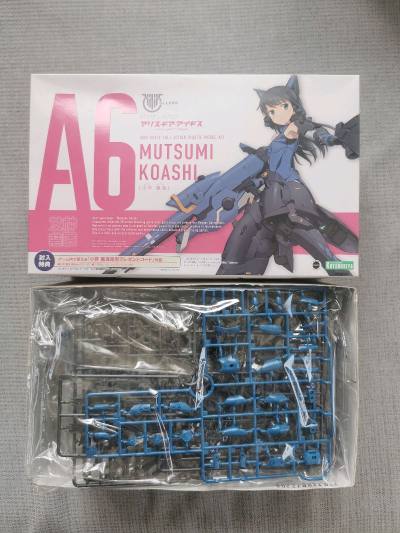 本次海淘的是寿屋拼装玩具，爱丽丝机甲系列的小芦睦海和创彩少女系列的发型配件包。买的是中古商品，盒况一般，但价格很有优势。走的竹蜻蜓专线，12天内到手。