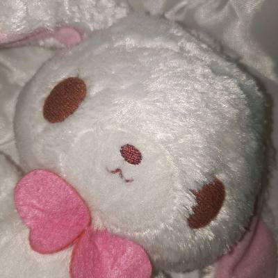 乃兔兔大王一枚!兔兔正脸是萌，侧脸是英俊!挺拔的身姿彰显着威!萌萌萌萌萌萌!??我爱这只小白兔(白又白 两只耳朵耷拉下来)我很少只买两个物品就合箱的，实属是迫不及待收货了ww