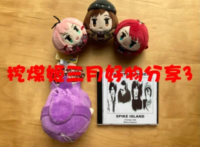 已经是三月的第三单了，这次在挖煤姬购买了bangdream的不倒翁和趴趴，the stone roses石玫瑰乐队的现场靴腿CD，走的是竹蜻蜓专线，没有选择额外的加固，包装却非常安心！泡沫纸给了非常多，很好！