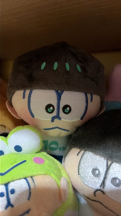 物流真的好迅速感觉没等多久就到了！包装依旧安心很牢固也没有运损——猛猛吃好价已经摆上了等待后面几箱！！！