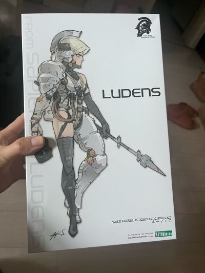 这次海淘体验超棒！物流比预期快，包装严实无破损。商品是正品，质量杠杠的，价格也比国内划算不少。客服回复及时，解答了我所有疑问。下次还会光顾，强烈推荐给大家