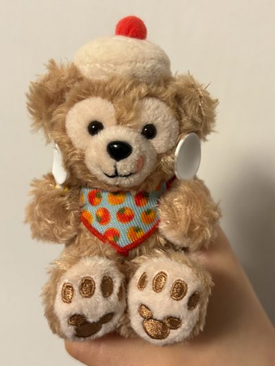 已经使用挖煤姬海淘娃娃好几次了，每次的使用体验都非常好！界面简洁明了，一键繁体中文，对新手小白十分友好！这次海淘的是东京迪士尼的娃娃，非常可爱的达菲和他的朋友们，成色也非常好很新包装也很仔细！还会继续使用挖煤姬海淘的！