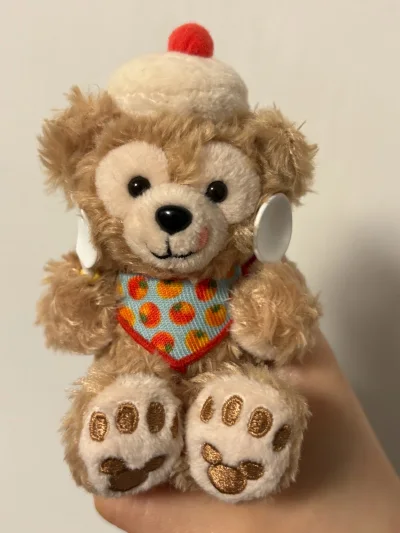 已经使用挖煤姬海淘娃娃好几次了，每次的使用体验都非常好！界面简洁明了，一键繁体中文，对新手小白十分友好！这次海淘的是东京迪士尼的娃娃，非常可爱的达菲和他的朋友们，成色也非常好很新包装也很仔细！还会继续使用挖煤姬海淘的！