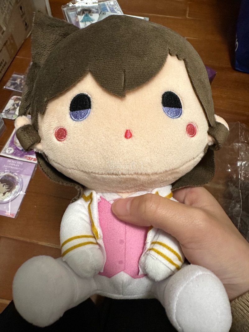 挖煤姬真的很懂二次元！搜索功能强大，能找到很多绝版老物。备货提醒很贴心，再也不怕错过补货。物流稳定，每次拆箱都像过节一样开心，体验感满分。