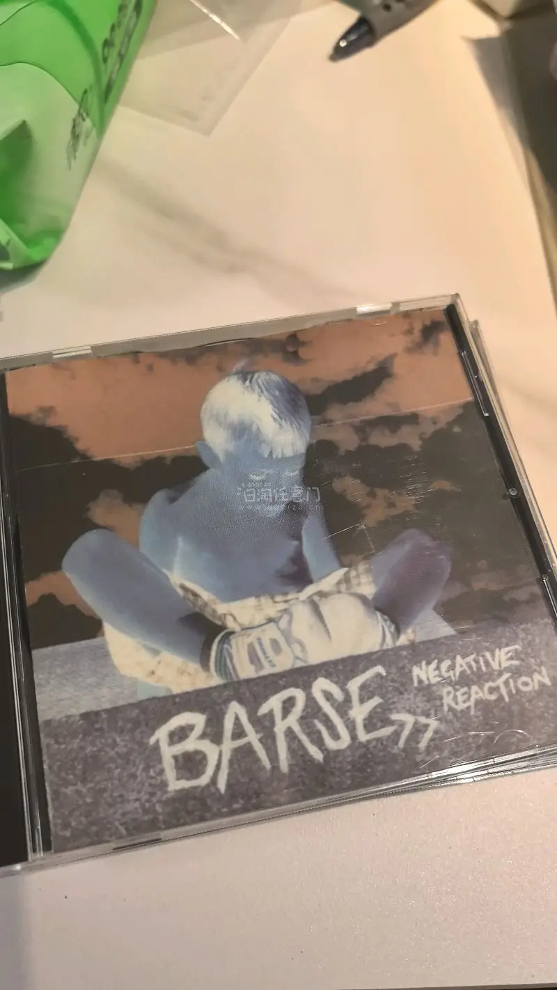 这批收了很多及其小众的朋克乐队专辑 来自欧洲和南美 本身属于玩的不太好那种 但是十分稀有 凑个品种 在国内基本不太可能见到