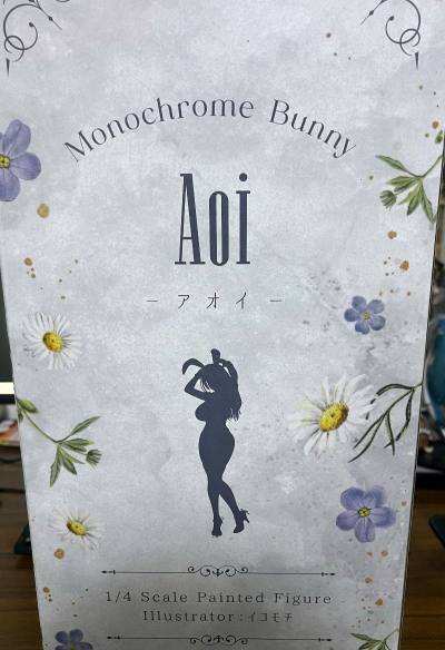 这次入手的是freeing的黑兔女郎葵，做工不错没有中奖，物流选的是竹蜻蜓专线，到手八角尖尖无损，会继续支持挖煤姬