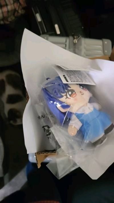 乱马1/2     乱马1/2天道茜毛绒玩偶