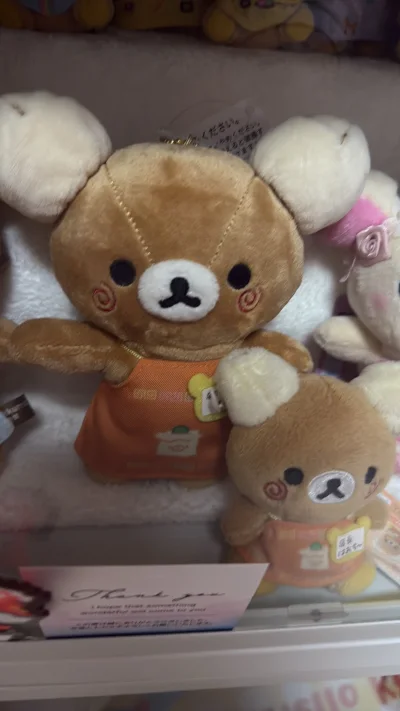 第一次海淘角落生物 买到了冬日炸虾 轻松熊店长挂件和手玉 选择了竹蜻蜓邮寄 不到一个月就收到啦 包装完好没破损