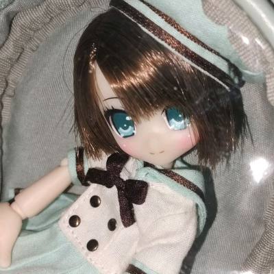 感谢挖煤姬拍卖到了梦情娃娃，挖煤姬雅虎拍卖真的特别好用，现在发货物流新增了增值服务好评，竹蜻蜓依旧好用实惠放心


