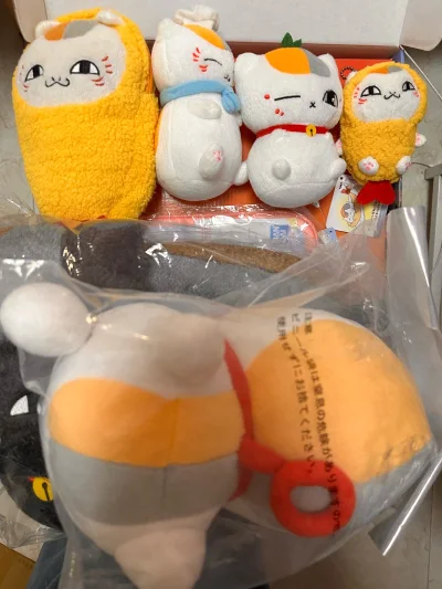 买的还是夏目友人帐猫咪老师。因为不急着拿到手，所以走的海运路线，包装非常用心，依旧是用巨多泡沫细致包裹，到手没有损伤，状态很好。