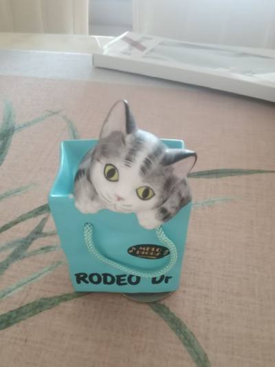 在挖煤姬蹲到的两件好物终于到手，直接被狠狠戳中审美！这个猫咪购物袋造型的陶瓷音乐盒也太萌了吧，银虎斑小猫探出头的样子软乎乎的，做工精致到毛发都根根分明，拧开后旋律温柔又治愈，摆在桌面瞬间氛围感拉满。还有这个复古油画风丝巾扣，椭圆金框质感超棒，印着的古典少女像温柔又精...在挖煤姬蹲到的两件好物终于到手，直接被狠狠戳中审美！这个猫咪购物袋造型的陶瓷音乐盒也太萌了吧，银虎斑小猫探出头的样子软乎乎的，做工精致到毛发都根根分明，拧开后旋律温柔又治愈，摆在桌面瞬间氛围感拉满。还有这个复古油画风丝巾扣，椭圆金框质感超