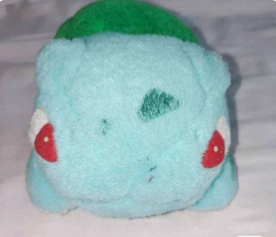 是各种七七八八的一箱!，这是一只老料的妙蛙种子，其实不是想买这只的，因为是一套出的，勉强收下，不过到家之后依然很可爱，虽然有点旧了，但毕竟是当时物