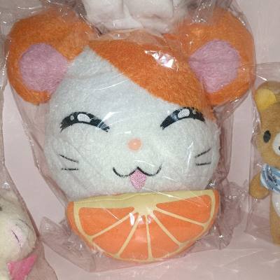 是圆圆满满规规矩矩工工整整可可爱爱，且稀有的长毛鼠鼠!（因为没见过这一款价格又好价，眼疾手快，跟我回家了!）