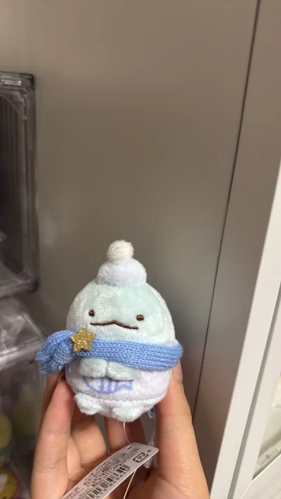 第一次选择epl航线 没想到速度非常在线 一周左右就收到啦我在煤炉拍卖的角落生物们 冬日限定水龙手玉和其他景品非常好价 适合新手入门海淘