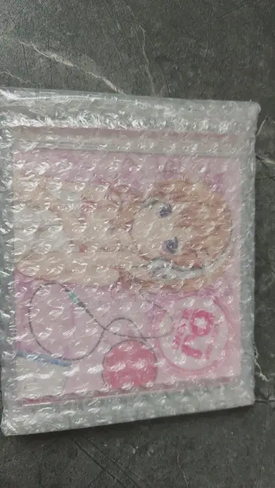 在挖煤姬淘到的点兔cd，包装很不错，包裹了两圈气泡膜，跟团回来的，用时大概20天这样，cd完好无损。个人认为这个价格买到便宜好物真的很划算。