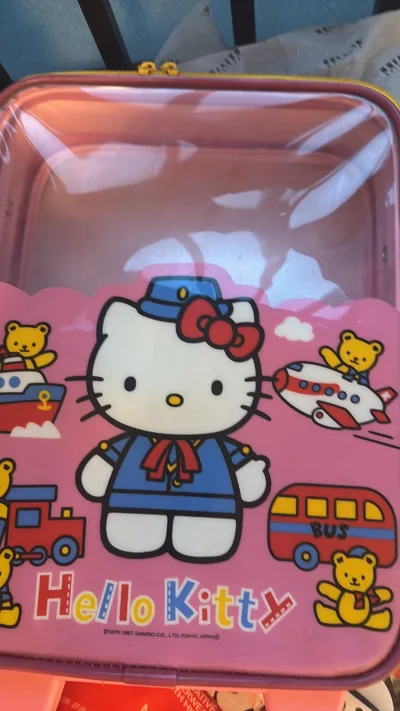 第一次购物体验很棒快递很快就到啦 很可爱 太爱了！以后还会继续购物！我真的是软件的忠实粉！y以后还会经常使用软件购物