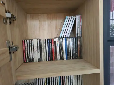 咱是八十年代老日文歌爱好者，好多激光唱片在国内买不到，现在能在这个平台上买到，觉得很不错，很便利。先买了一次试试，送到了。后来就买了几千块的大单子，也稳稳送到了