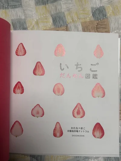 没想到在挖煤姬上真的蹲到了这本《草莓图鉴》！从日本淘回来，翻开全是水灵灵的品种介绍和超清实拍图，从“古都华”到“淡雪”，每一页都像在吃草莓? 身边朋友可能不理解为什么要海淘一本“草莓说明书”，但对我来说，它就是宝藏！

挖煤姬的体验依旧很稳：搜索时用了日文“いちご図...没想到在挖煤姬上真的蹲到了这本《草莓图鉴》！从日本淘回来，翻开全是水灵灵的品种介绍和超清实拍图，从“古都华”到“淡雪”，每一页都像在吃草莓? 身边朋友可能不理解为什么要海淘一本“草莓说明书”，但对我来说，它就是宝藏！ 挖煤姬的体验依旧很稳