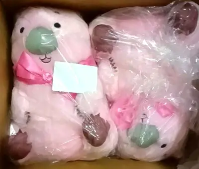 这次切了两只超大的娃，本来以为国际会很恐怖没想到可以按重量走竹蜻蜓专线，比预估的天价国际要低很多我就已经心满意足了哈哈哈，很愉快的一次购物体验，之后也会继续使用~