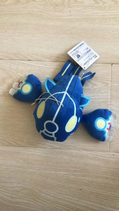 挖煤姬真的太棒了！这次淘的宝可梦盖欧卡周边，从下单到收货都超顺利。包装特别严实，宝贝完好无损，物流速度也快。客服响应及时，服务态度很好，终于圆了我的盖欧卡收藏梦！日淘体验满分，以后还会继续使用！