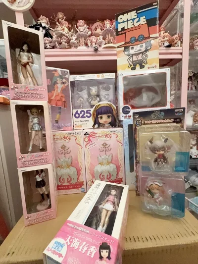 这次切的是一大箱手办，最喜欢的是魔卡少女樱的一番赏，虽然因为体积和数量问题在过关时被开箱了，但是挖煤姬提供的所有交易记录帮助我顺利过关，将会继续支持挖煤姬