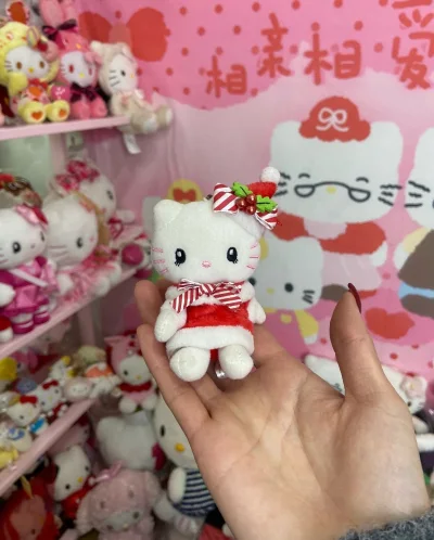 还不错的一次购物体验，把税精审核发货的速度都挺快的，希望可以继续保持下去，希望可以多出一点谷子抽奖，还有就是手续全免优惠券