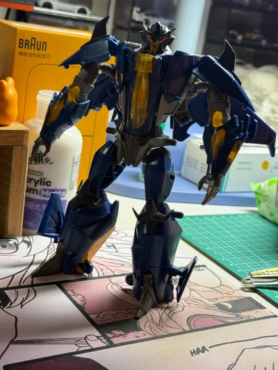 每次的购物体验还是一如既往的好！！！我用的是竹蜻蜓专线，差不多两个星期左右就到手了，不吹不黑现在的合单系统越来越方便了，不用像以前还要自己算。不得不说挖煤姬的打包也从来没让我失望过也没有漏过东西。最后还是希望门门越来越好吧。