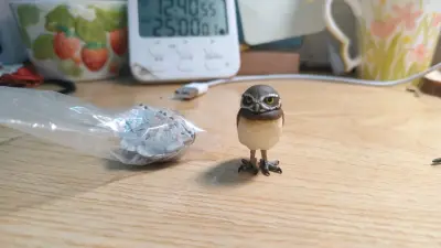 挖煤姬搜索栏很好用，一下就搜到了想要买的，可爱的鸟类扭蛋，发货也很快，打包的特别好，扭蛋都安全送到了，开心开心