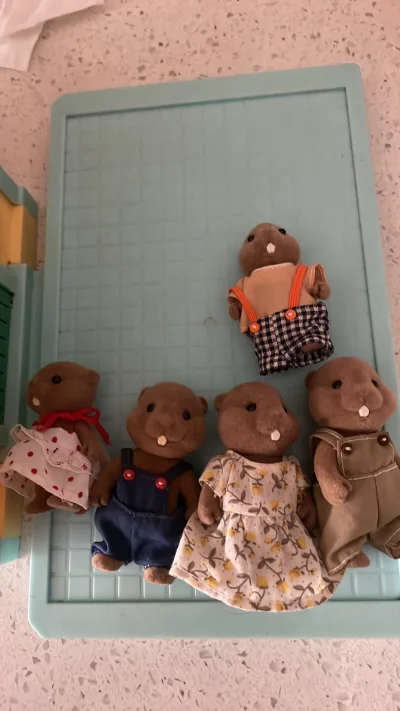 今天收到了这栋小屋，之前我已经买到5个同款大号的房子，这次买到的是小号的，很可爱。还有板牙一家5口，之前某鱼上也买过一家4口，不过这几年溢价严重，也只有煤炉上还能淘到点平价的了。