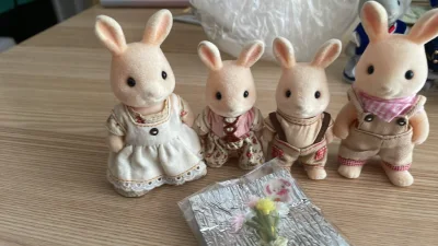 这次买的都是森家公仔，而且都是很出名的四大名兔系列，尤其是玛格丽特兔的卖家，还做了一个小手工附送，一束花朵，值得留着呢。