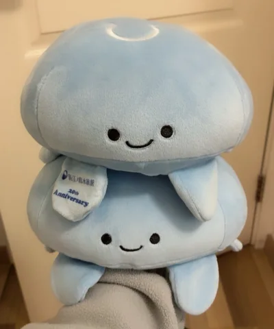 想買水母於是搜索 下單很順利 合單稍微久了一點外其他都很好 水母玩偶都很美萌比我想象的可愛好多 喜歡喜歡