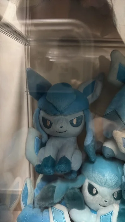 宝宝就是这么萌
终于圆梦了qaq，成功集齐8只
伊布collection+1
飞机和盾甲龙也特别萌的
感觉眼镜厂的圆滚滚和doll也差不多了hh
