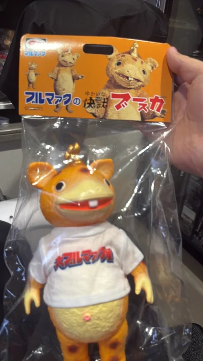 第一百六十一单，一个中等尺寸的布斯卡，很普通，但是他穿了个T恤，就变得很可爱了，另外还有个好价的名鉴隐藏