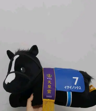 又收到了一箱子小马 每一个都保存的很好 打包有泡泡所以没有损坏  都是很大只的马偶 保留了卖家的真空袋可以重复使用  推荐推荐