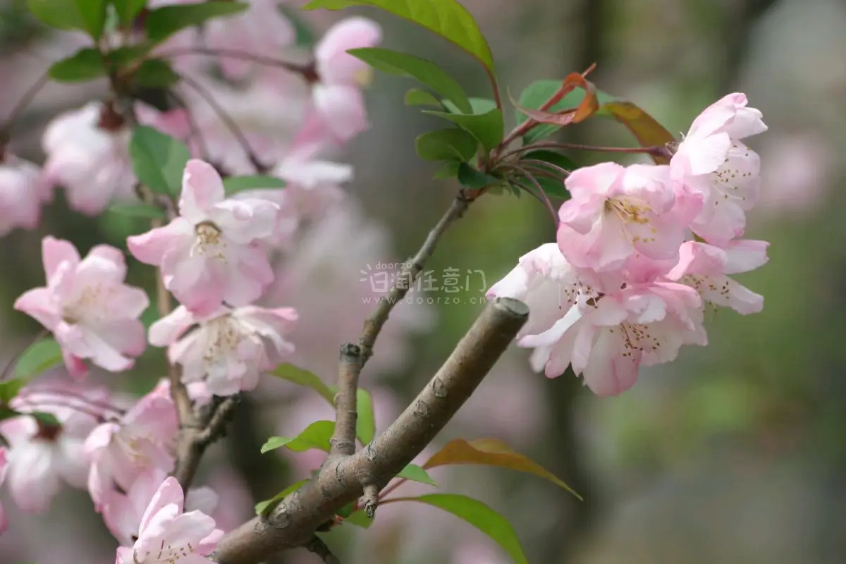 一套年龄超过20岁的相机，尽管像素量才600多百万，但依然可以拍出不错的画面，画质发朋友圈也是绰绰有余。还淘了两个徕卡目镜，买来收藏。