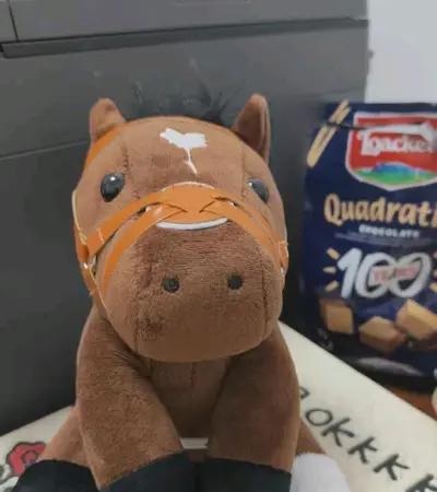 任意门好物分享