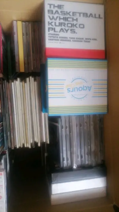 这次虽然以很小的成本购买了大批量的一个CD，但是由于数量较多后续的快递寄件等待了很长的时间但是收到之后还是进行了一个整理东西还是挺多的。