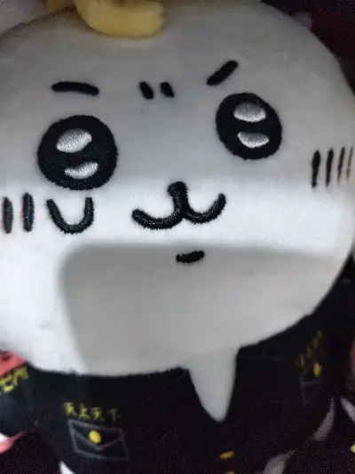 混的三小只集合！！任意门太好用啦