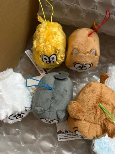 切的第四箱了已染上切煤！和朋友一起拼的a下来国际邮费也不贵，竹蜻蜓太好用了物流也很快包装依旧很好，满意之