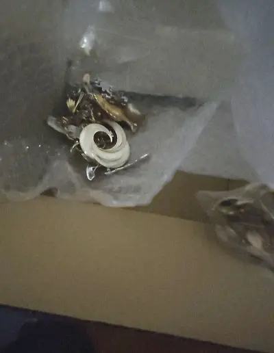 日淘饰品太香了！淘到小众复古项链与耳饰，款式独特国内少见。中文界面好操作，打包加固严实，物流稳妥，到手品相超赞。