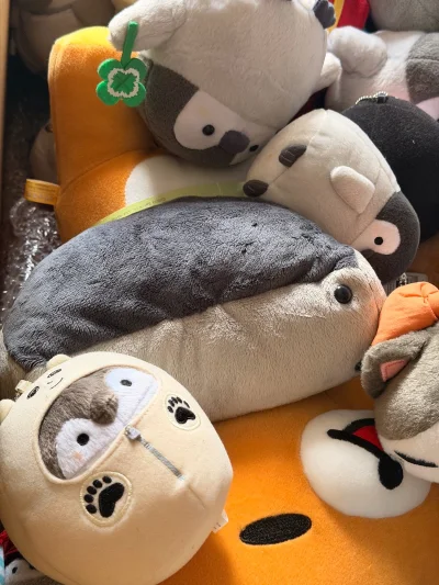 在雅虎日拍上得拍了很多玩偶价格非常划算，每次收到箱子都是完好无损，易碎品也没有出现可怕的情况，平台打包也是比较用心的，放了填充物但不是过多投放压重量