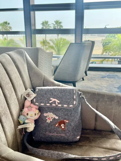 这次买了甜点兔的小背包和饭盒，还有美乐蒂的行李箱。很适合春天带出门～收到箱子包装很好，物流也很快速，价格也有优惠，总的来说体验感不错