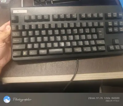 挖煤姬入手的燃风R1/R91静电容键盘，又是一次愉快的日淘体验，不到400！平台上搜型号很顺手，无论是30g还是45g版本都标的清楚，选品不费劲。卖家发货快，我选的海运，时效差不多1个月，包装更是没得说——瓦楞纸箱+厚实缓冲材料，漂洋过海键盘依然完美无瑕。虽然是二手...挖煤姬入手的燃风R1/R91静电容键盘，又是一次愉快的日淘体验，不到400！平台上搜型号很顺手，无论是30g还是45g版本都标的清楚，选品不费劲。卖家发货快，我选的海运，时效差不多1个月，包装更是没得说——瓦楞纸箱+厚实缓冲材料，漂洋过海