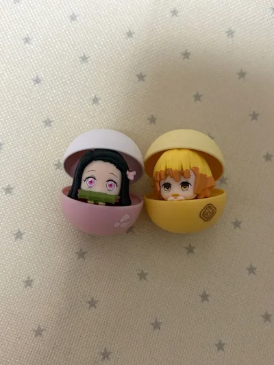 这次淘了些鬼灭的萌物！选的竹蜻蜓路线，挺快的，到手包裹也很安全，看到淘回来的宝贝特别满意啊，继续期待下一箱了！