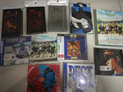 挖煤姬包装的纸板一如既往厚实，泡沫纸也安全感满满，没有买固定包装，国际运费也不贵，买的很多动漫CD，价格都不错，基本上都很新，运输没有破损，比较不错的一次购物体验。