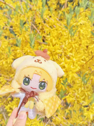 这次切的进藤光生日谷、娃娃，还有亥清悠团子都完美到手！状态超棒，包装严实，代切流程省心，物流速度在线，价格也很美丽，已经无限回购了！