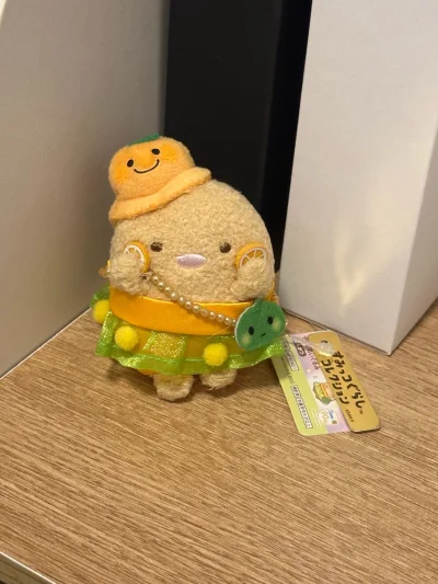 猪排猪排你咋这么萌呀 这次是赶在竹蜻蜓专线消失之前立马合单了，哦我的天想念我的竹蜻蜓，什么时候能恢复主蜻蜓专线呀…