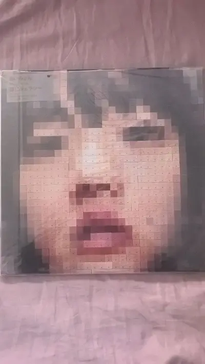 竹蜻蜓线路对于小价格黑胶真的很友好，五张唱片运费均摊也才15元一张，也是好价拿下爱缪的橙专，买了基础服务黑胶包的很好，到手无损。