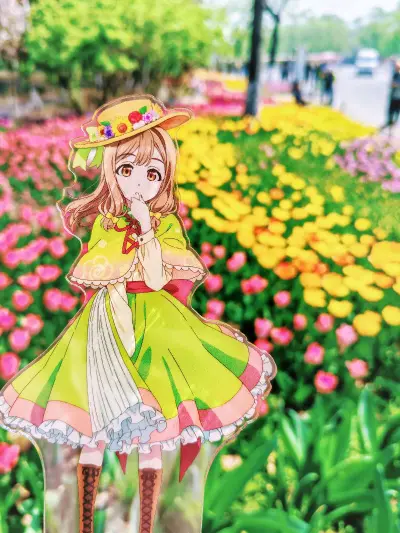 很好的一次购物体验，在花丸生日前收到了包裹，稳稳赶上生日阵！并且切到的都是好价，状态也棒，带出去拍照打卡很赏心悦目❤️