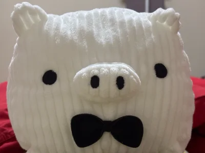 这次用的是新的路线 小猪白白的是全新的 超可爱 品相完好无瑕疵 和描述一致 打包严实 物流快 客服贴心 经典复古款 黑白配色简约治愈 日淘体验满分 值得入手！